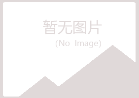 米易县白山建设有限公司